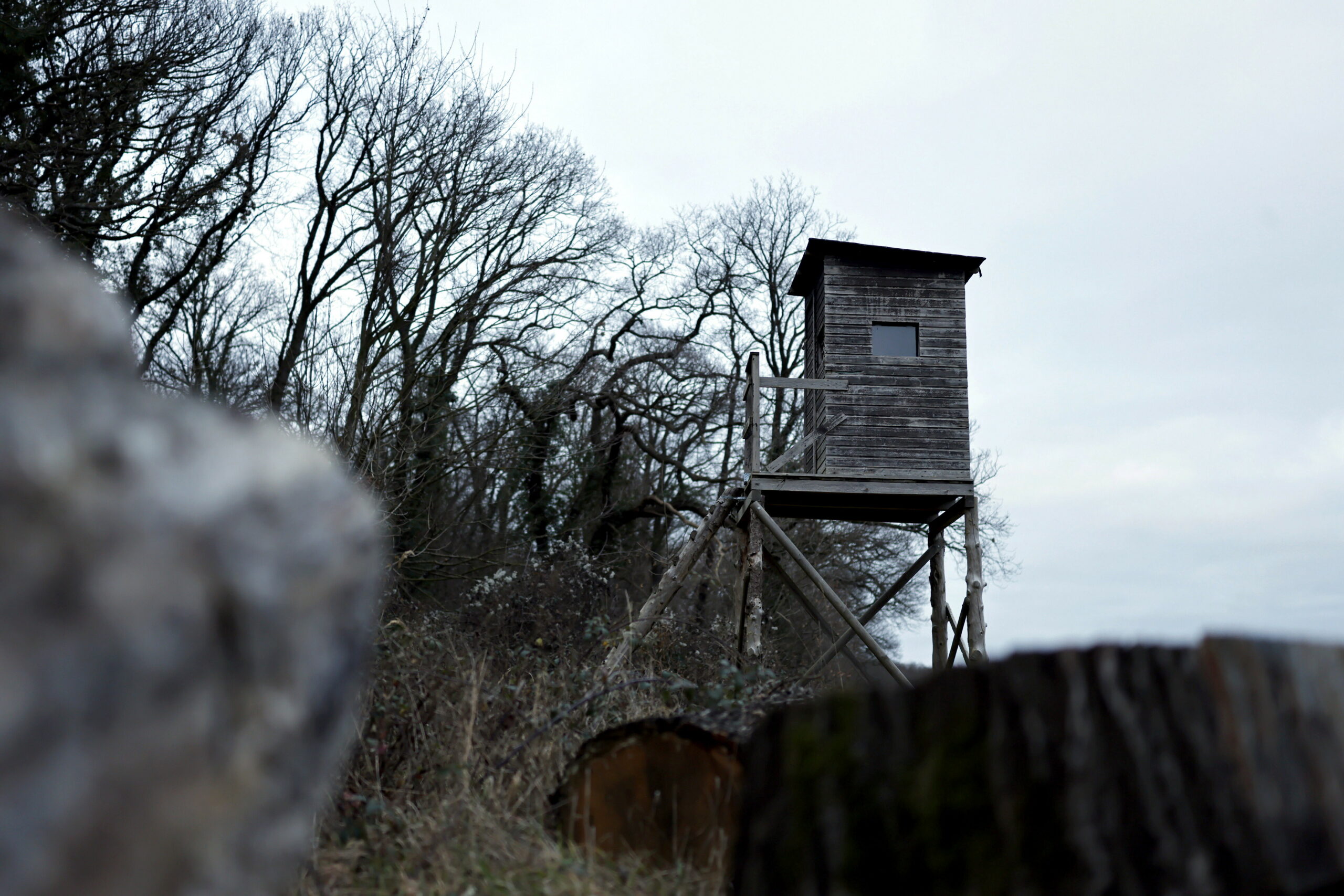 Ein Hochsitz im Wald.