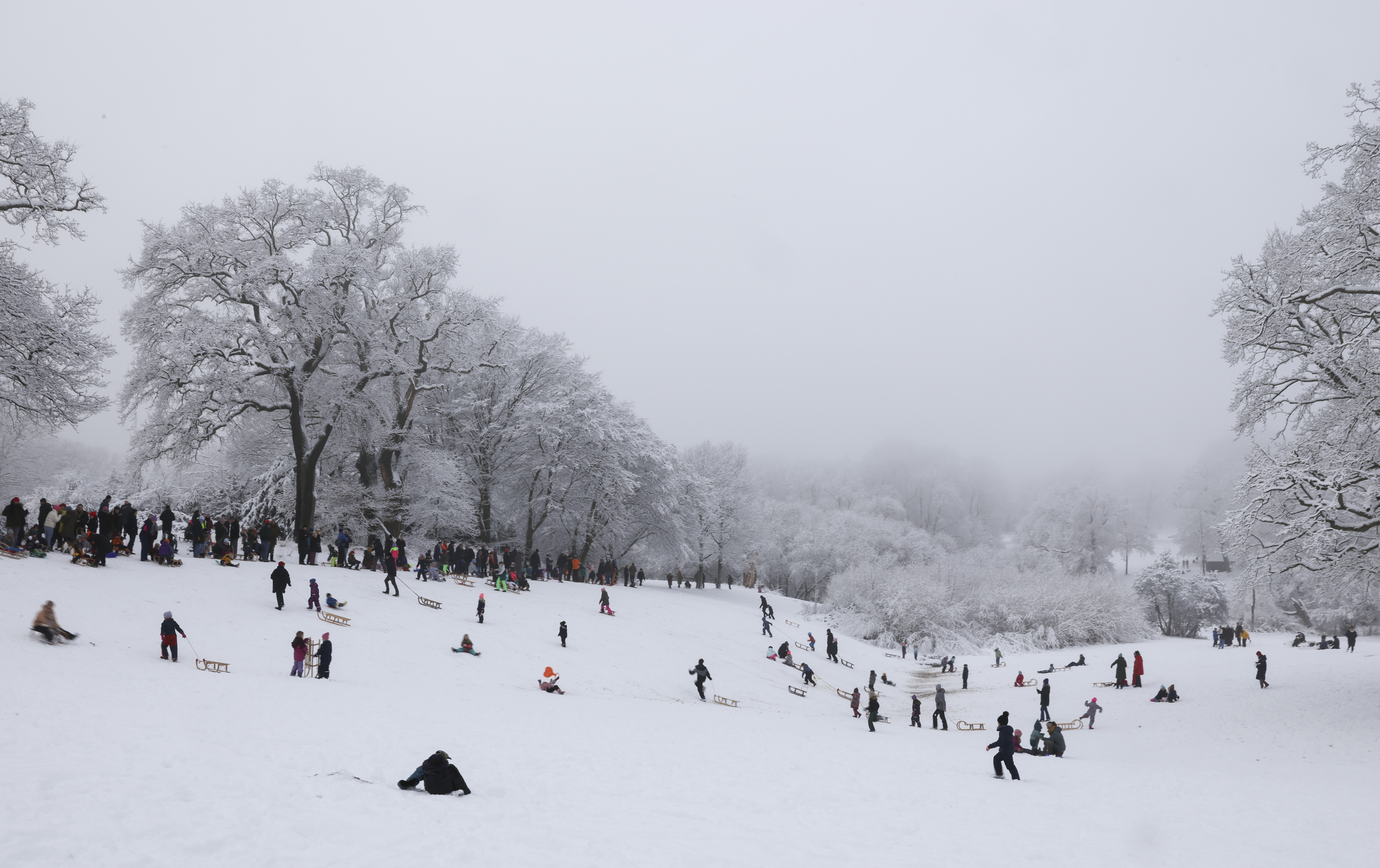Rodelberg im Jenischpark