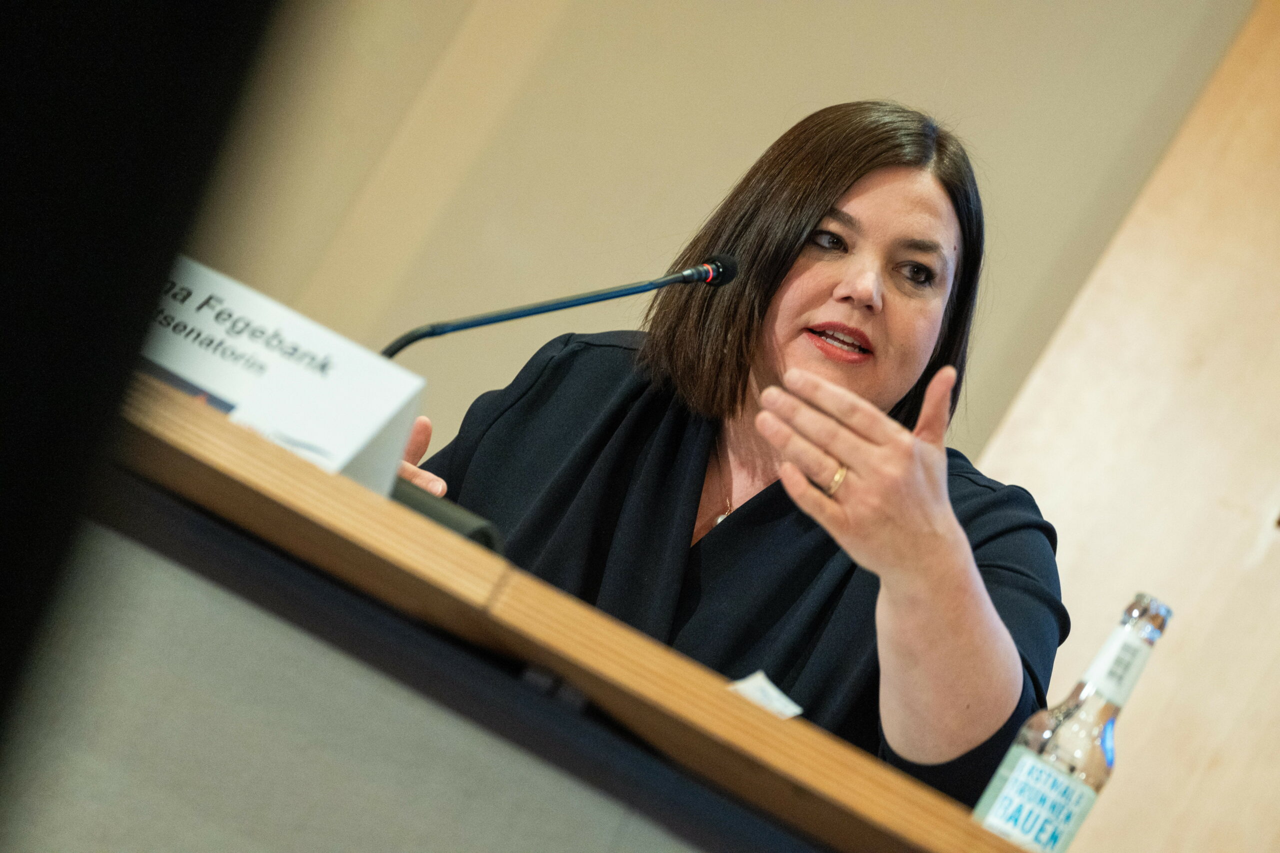 Hamburgs Zweite Bürgermeisterin Katharina Fegebank (Grüne) (Archivbild)