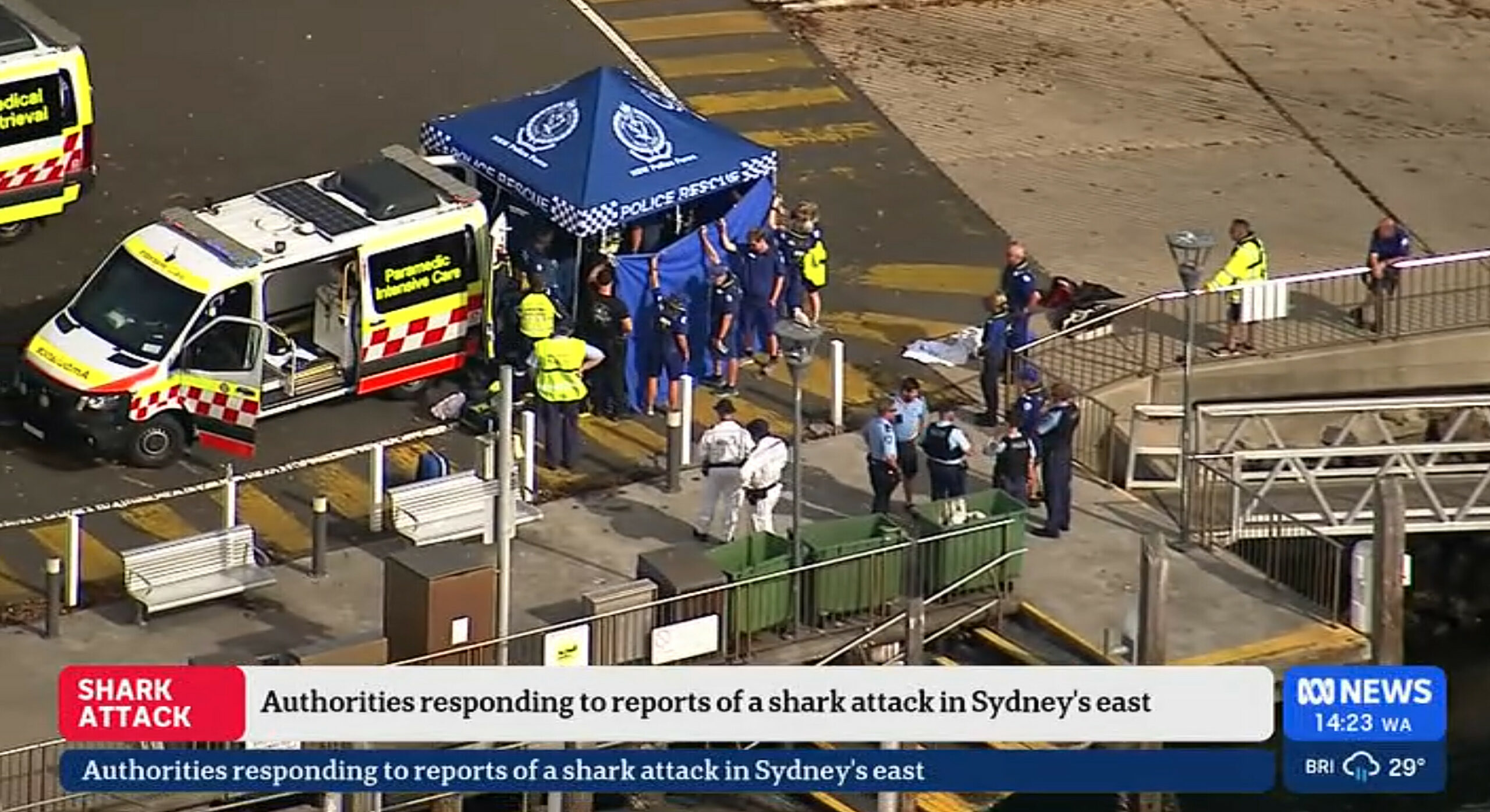 Der Junge war in der Nähe eines beliebten Strandes bei Sydney von einem Hai gebissen worden.