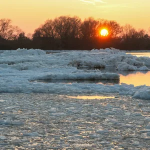 Riesige Eisschollen treibe bei Geesthacht über die Elbe.