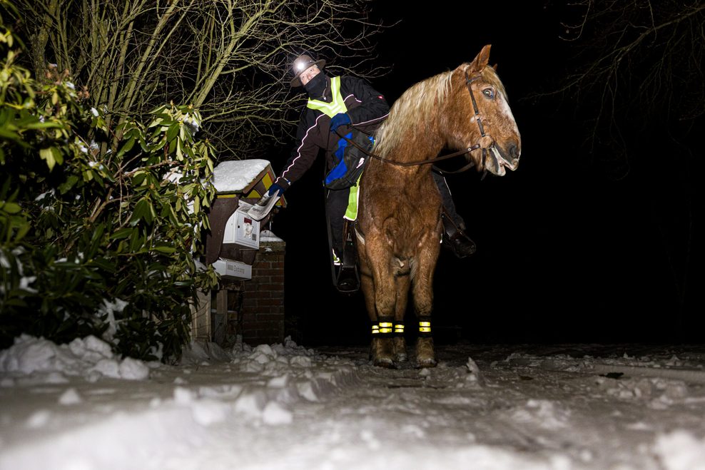 Marcus Zotan trägt am frühen Morgen auf dem Rücken seines Pferdes Wilko die Cellesche Zeitung in dem Dorf Wiedenrode im Landkreis Celle aus.