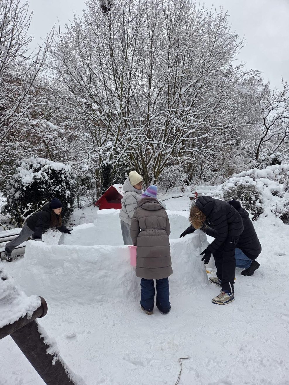 Iglu in Bahrenfeld