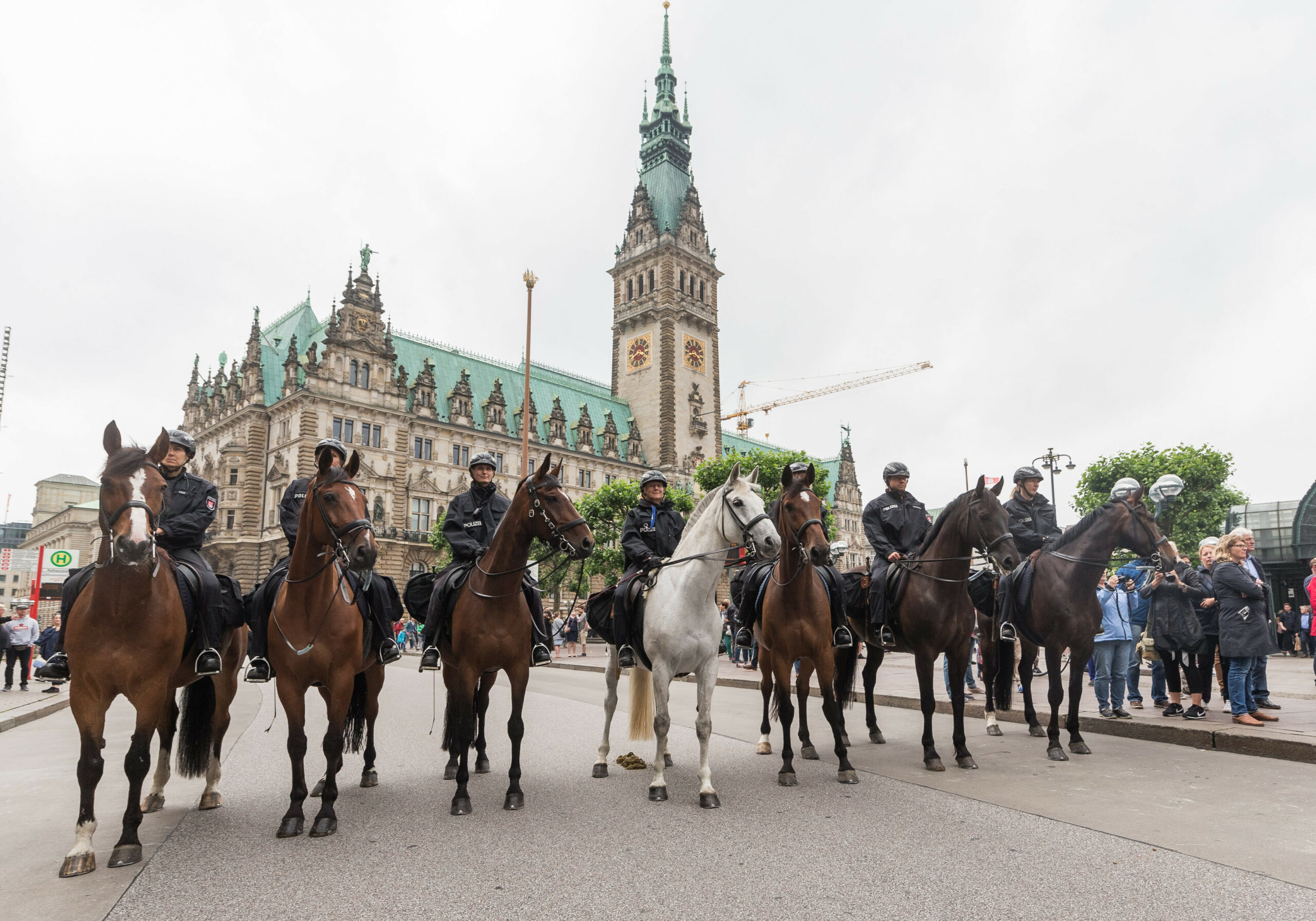 Die Reiterstaffel im Einsatz vor dem Hamburger Rathaus (Archivbild).