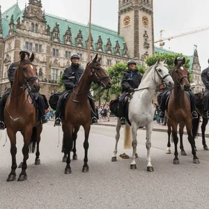 Die Reiterstaffel im Einsatz vor dem Hamburger Rathaus (Archivbild).