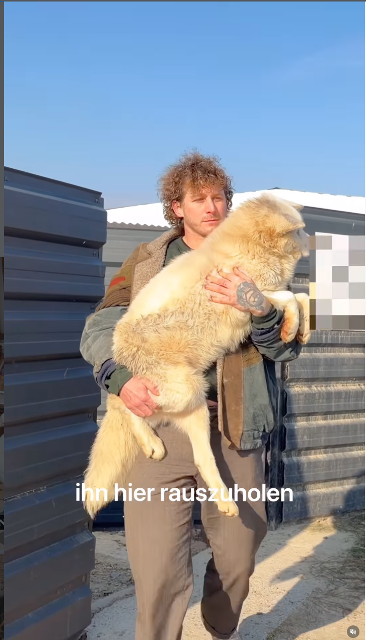Malte Zierden trägt den geretteten blinden Hund auf dem Arm.