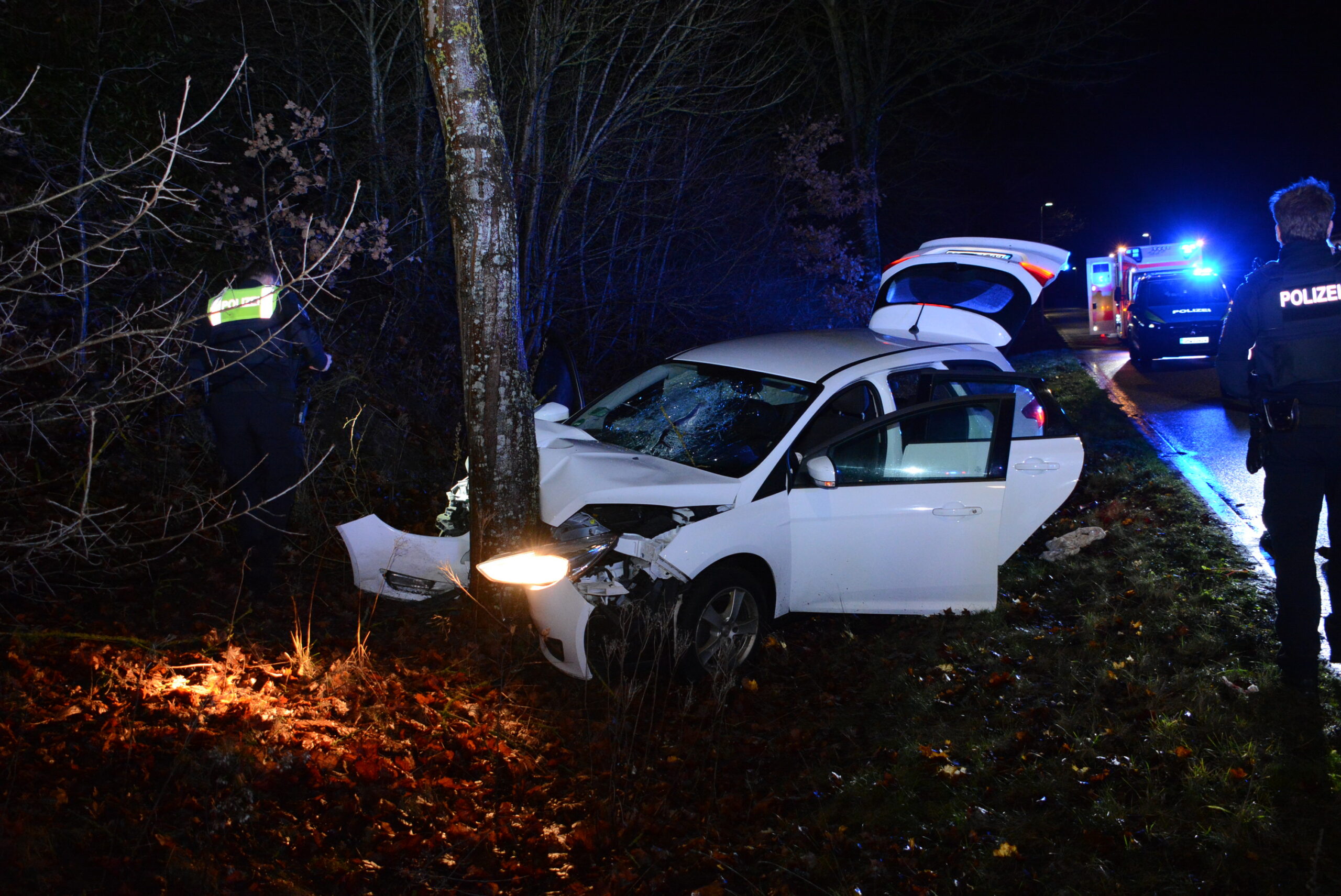 Autofahrer will Hasen ausweichen und kracht gegen Baum. Vier Verletzte in Geesthacht