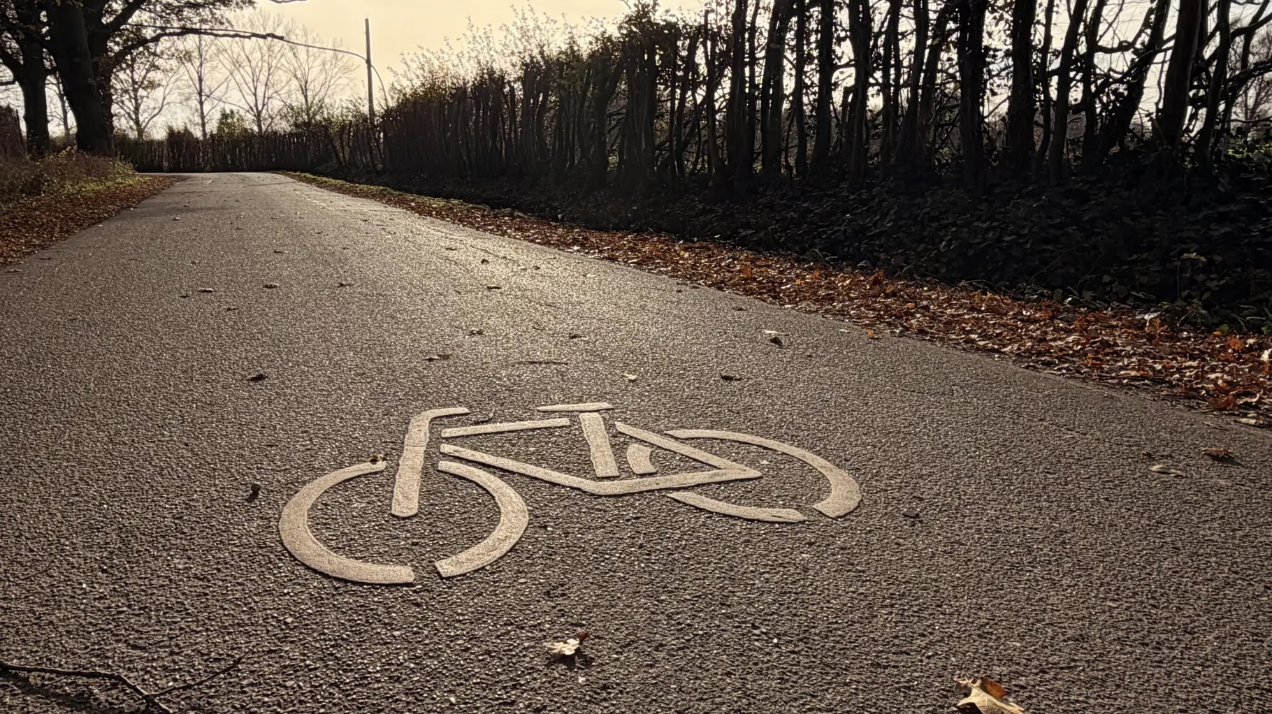Die Fahrradstraße, die von Halstenbek nach Pinneberg führt, wird von Autofahrern gern als Alternative zur A23 genutzt – obwohl die Durchfahrt nur Anliegern erlaubt ist.