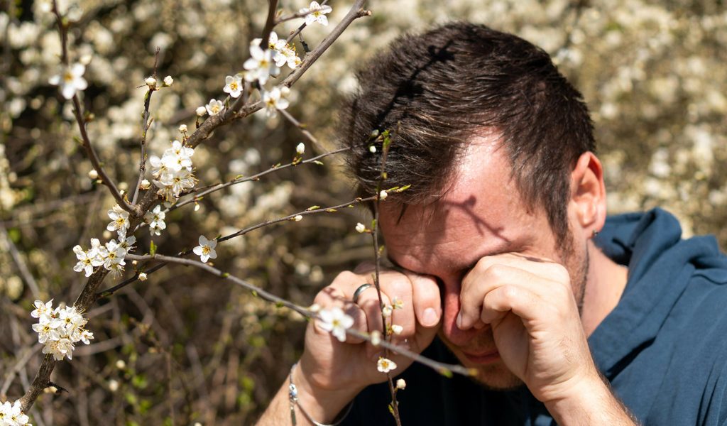 Hausmittel-vs-Tropfen-Was-hilft-bei-Heuschnupfen-wirklich-gegen-juckende-Augen-