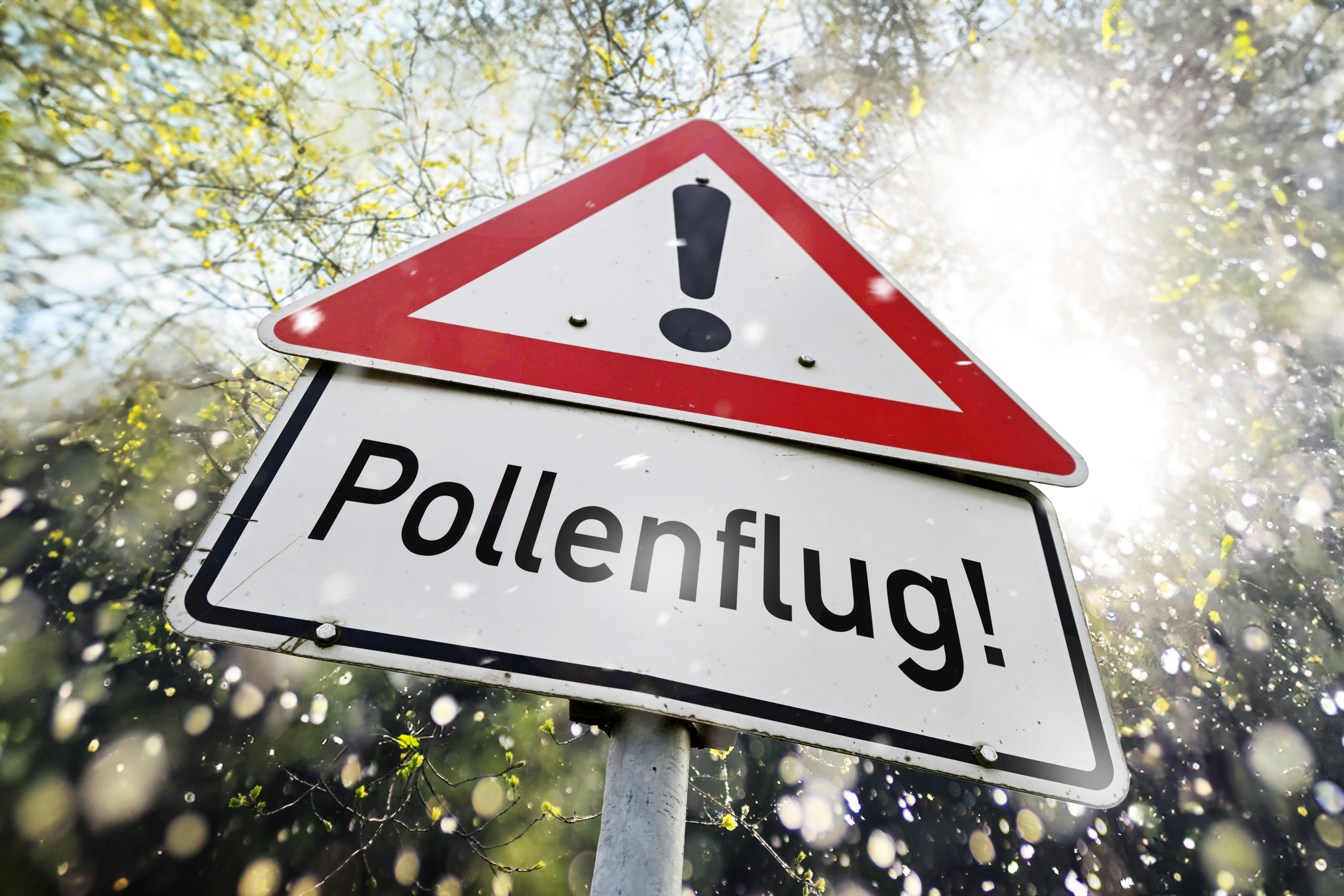 Heuschnupfen Pollenflug
