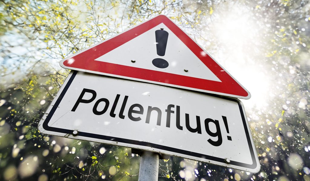 Richtig-l-ften-bei-Heuschnupfen-So-kommt-frische-Luft-rein-ohne-Pollenalarm