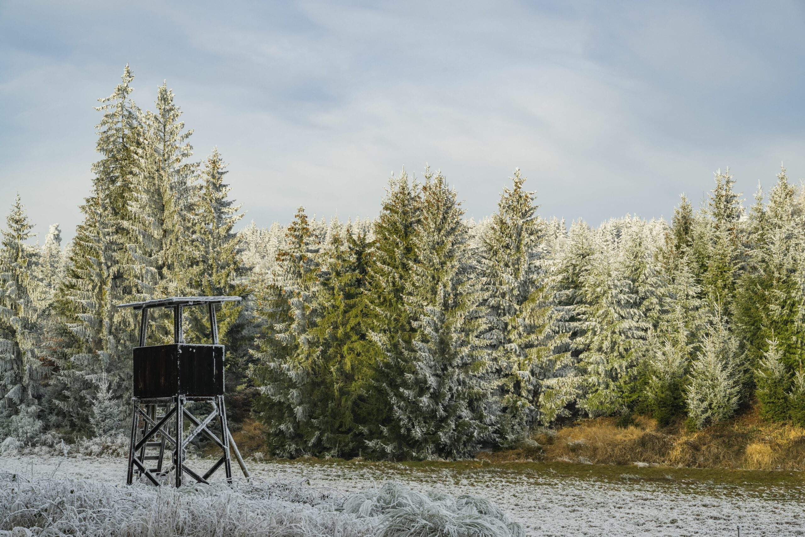 Hochsitz im winterlichen Wald (Symbolbild).