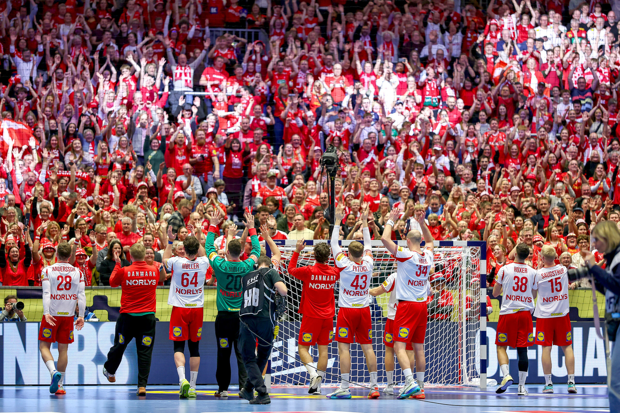 Dänemarks Handballer feiern mit Fans