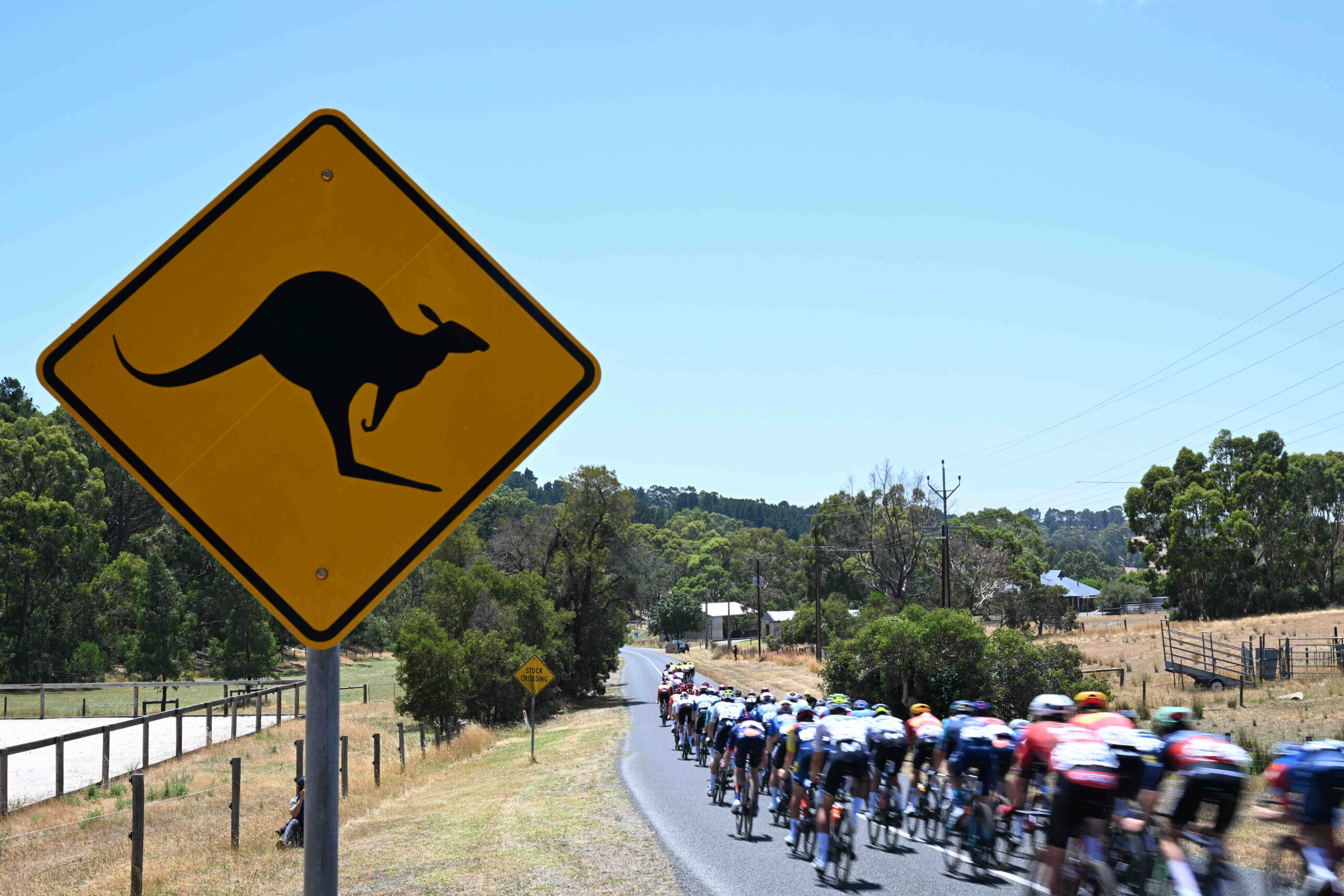 Warnhinweis auf Kängurus bei der Tour Down Under
