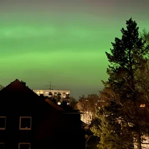 Grüne Polarlichter am Himmel über Rahlstedt.