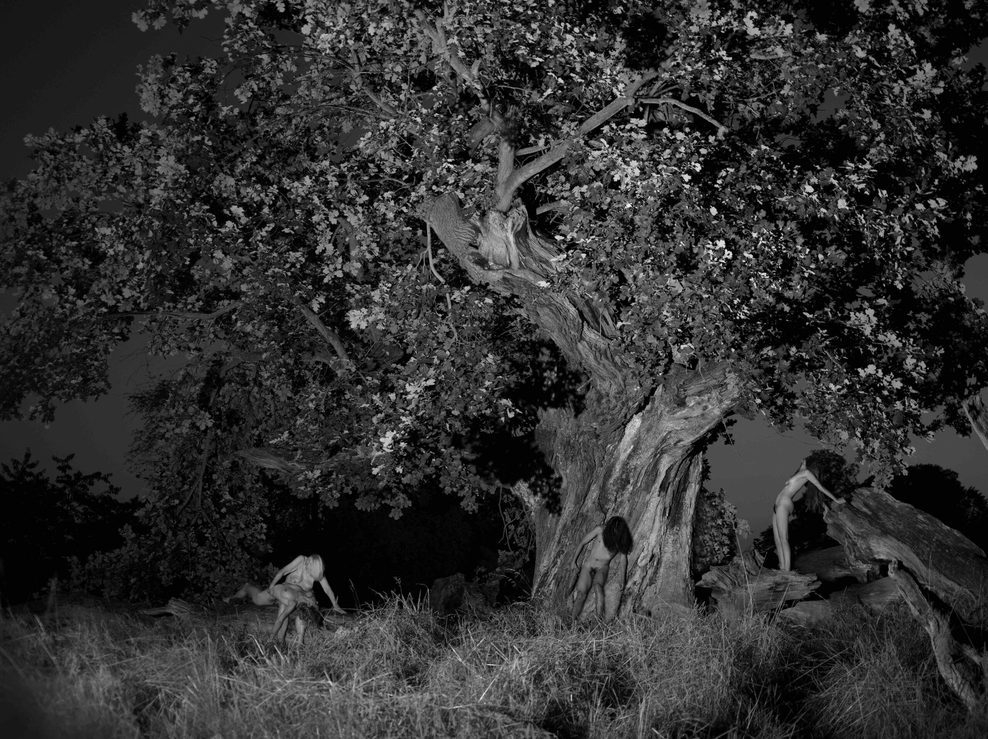 Drei Menschen stehen um eine große Eiche.