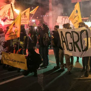 Mitglieder der Bauerngewerkschaft Confederation Paysanne demonstrieren in Paris gegen das EU-Mercosur-Freihandelsabkommen.