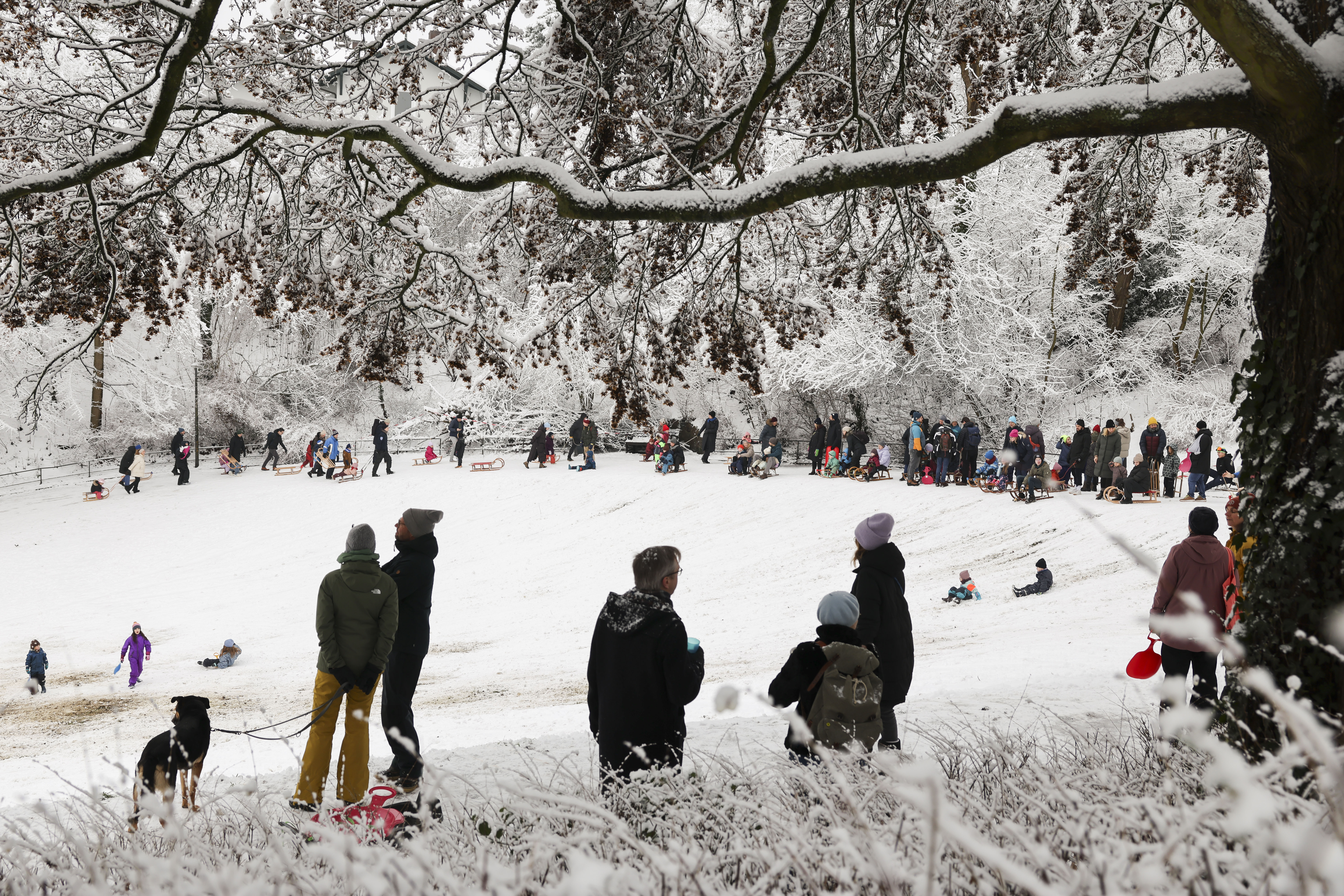 Zahlreiche Menschen versammelten sich mit Schlitten im tief verschneiten Donners Park in Altona.