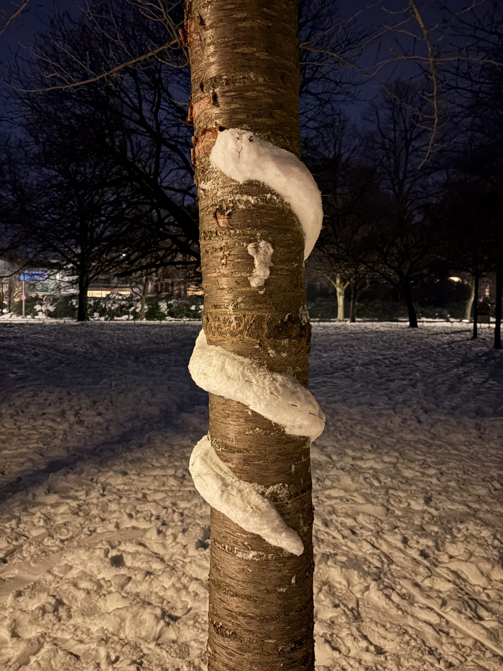 Eine Schnee-Schlange schlängelt sich um einen Baum an der Alster.