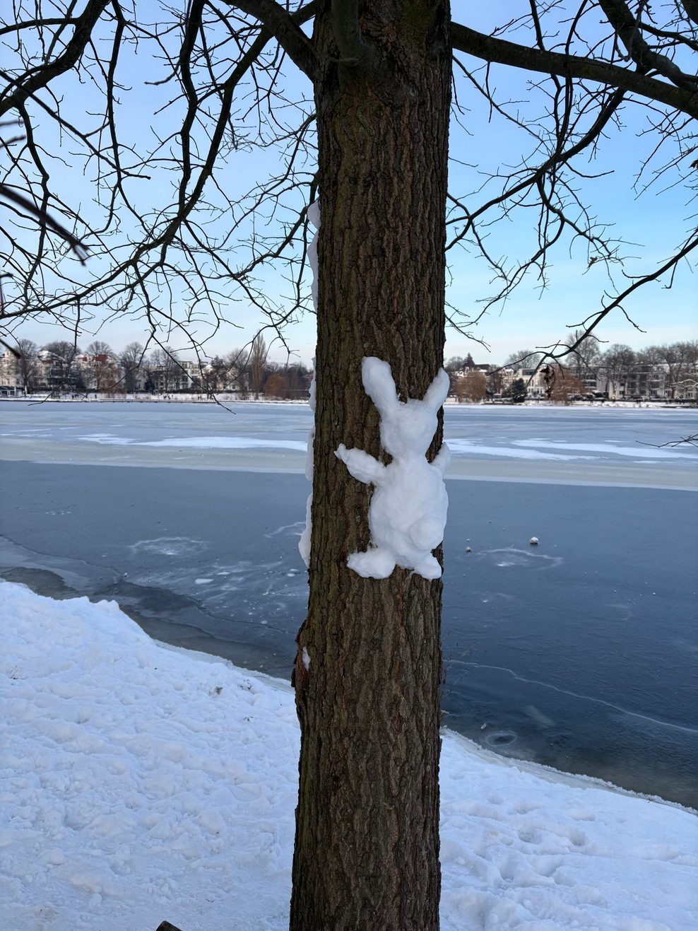 Ein Schnee-Hase klebt an einem Baum an der Alster