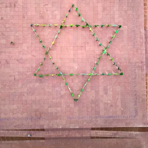 Menschlicher Davidstern vor der Kunsthalle