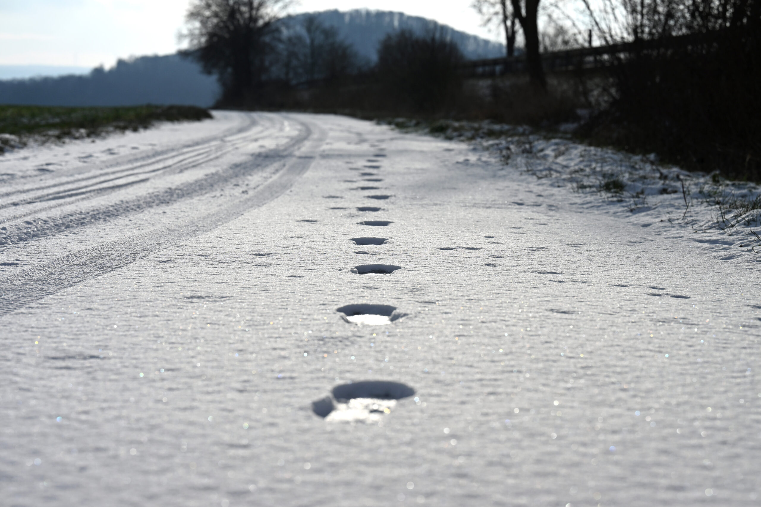 Die Einbrecher konnten dank ihrer Fußabdrücke auf frischer Tat ertappt werden. (Symbolbild)