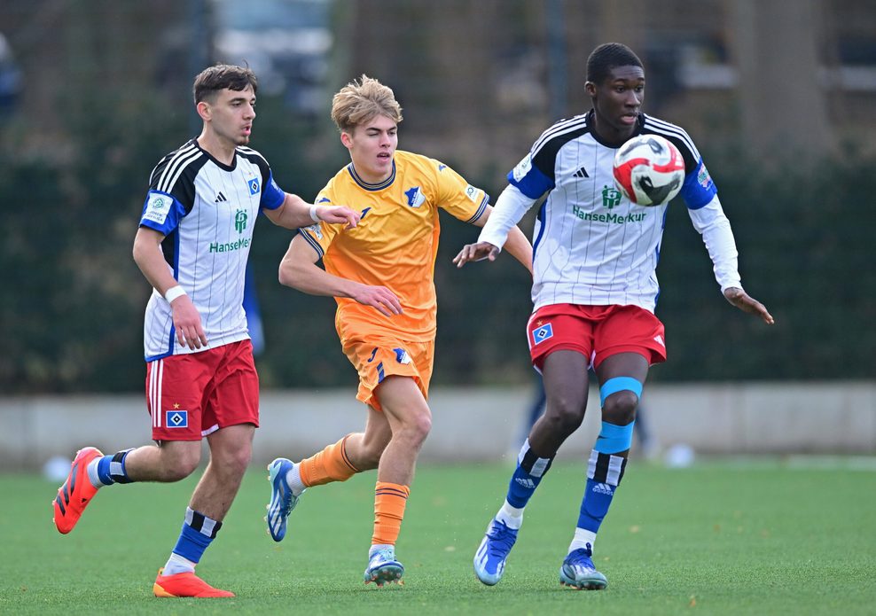Karim Coulibaly im HSV-Trikot