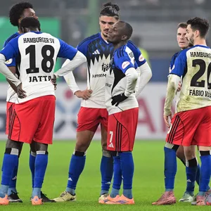 HSV-Profis versammelt auf dem Platz