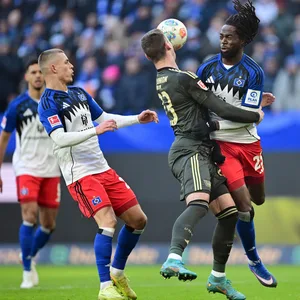 Andrej Ilic, Jordan Torunarigha