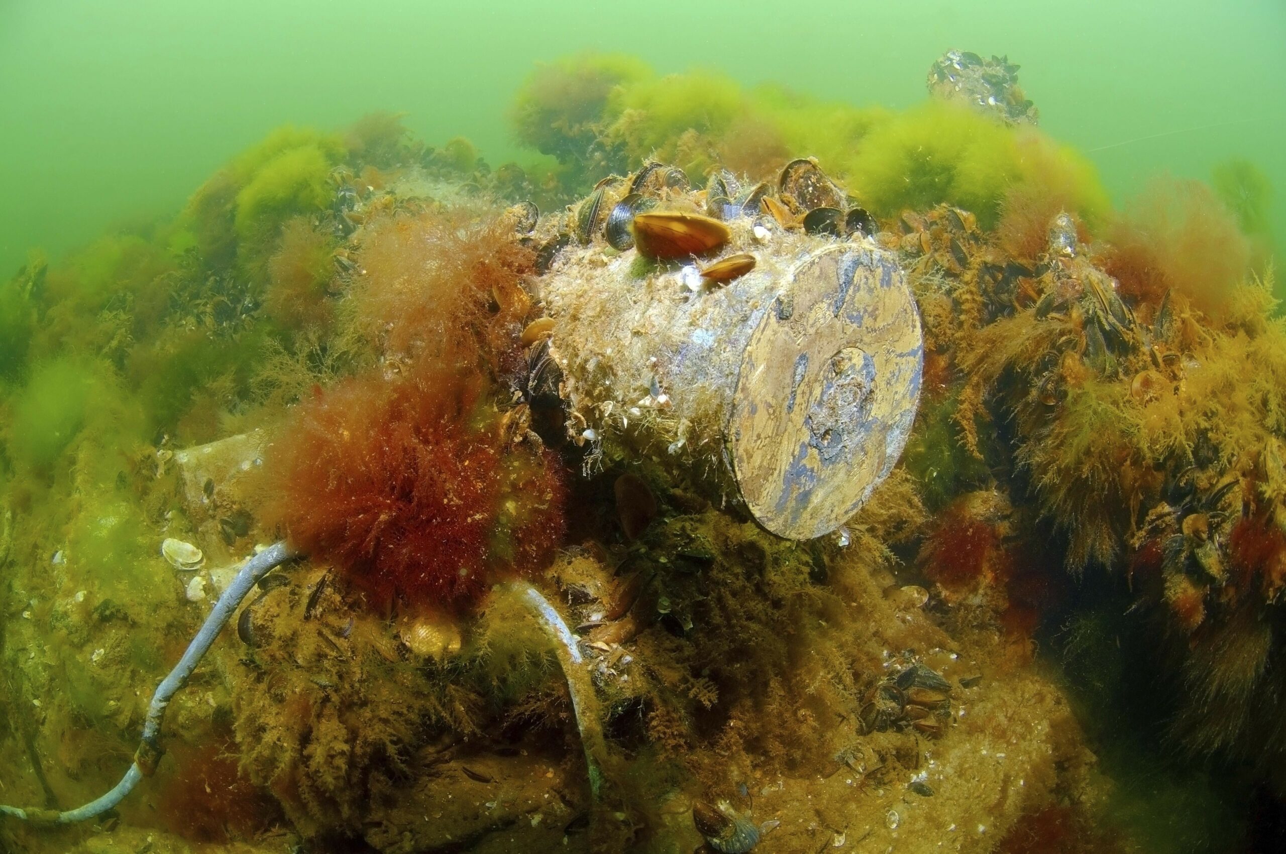 Munition Meeresboden Wasser Forschung