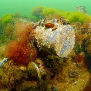 Munition Meeresboden Wasser Forschung