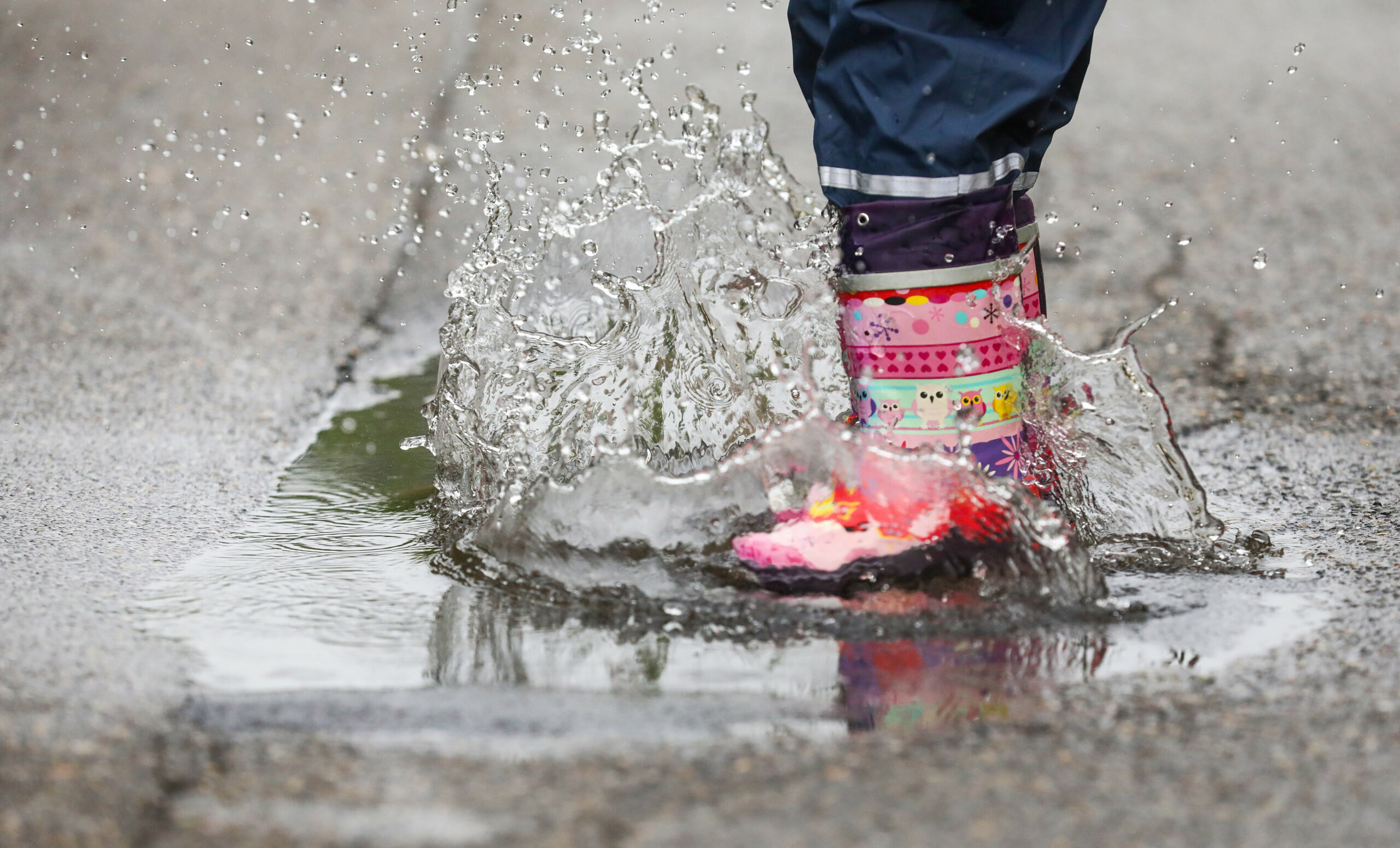 Das Wetter im Norden bleibt trotz milder Temperaturen ungemütlich. (Symbolbild)