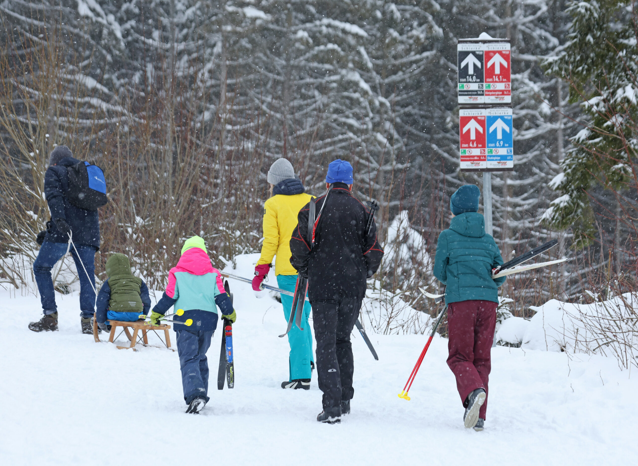 Rodeln und Skifahren im Harz