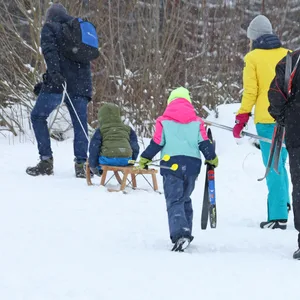 Rodeln und Skifahren im Harz