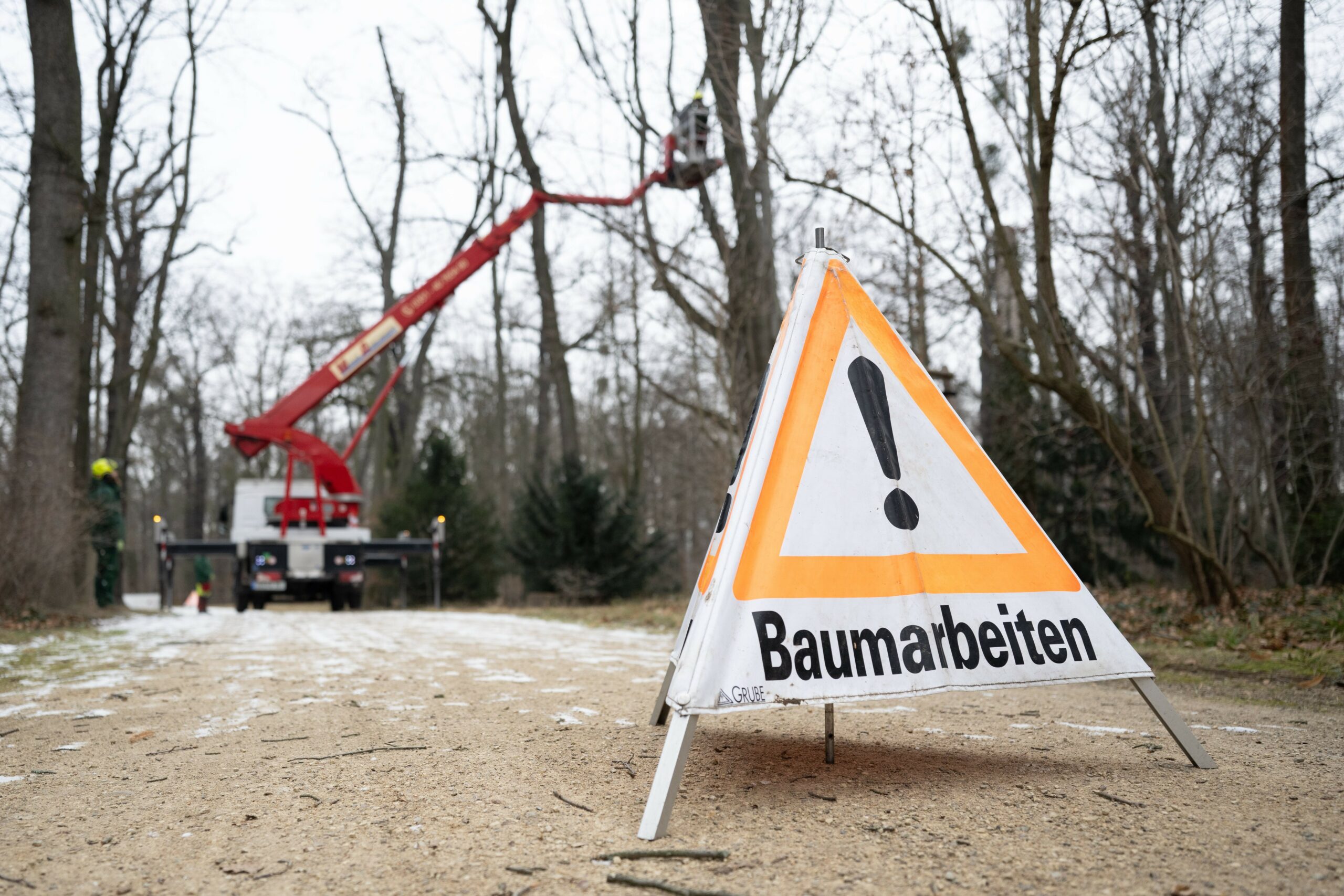 Baumarbeiten Schild Baum
