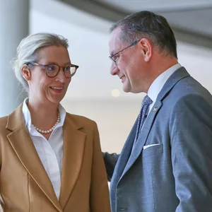 Die Parteichefs Alice Weidel (l.) und Tino Chrupalla schauen dem korrupten Treiben ihrer Funktionäre offenbar tatenlos zu.