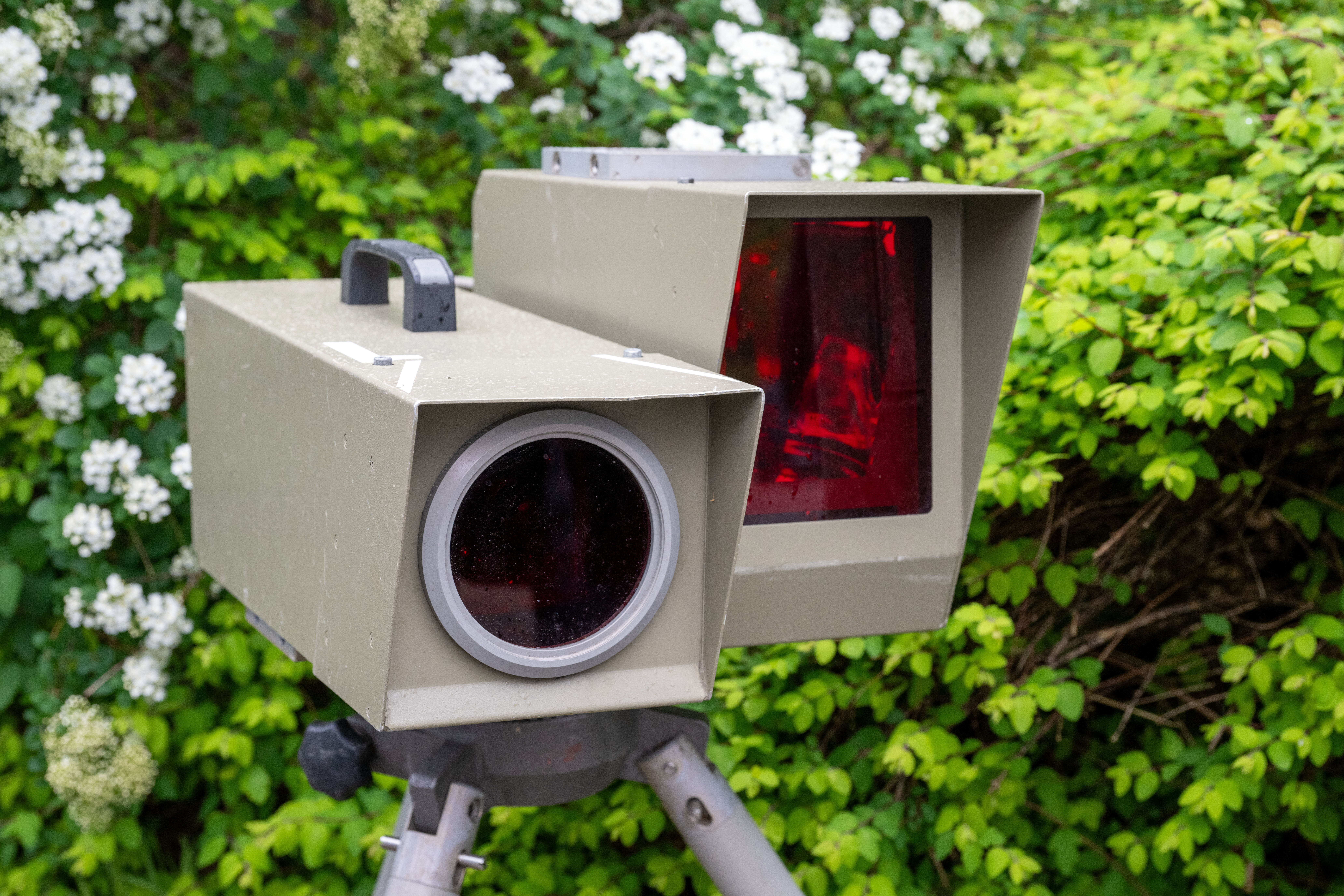 Eine Reitlehrerin löste auf einem Pferd einen Blitzer aus. (Symbolbild)