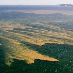 Ein Schwebeteppiche aus Schwebestoffen schwimmt in der Ostsee vor Sassnitz.