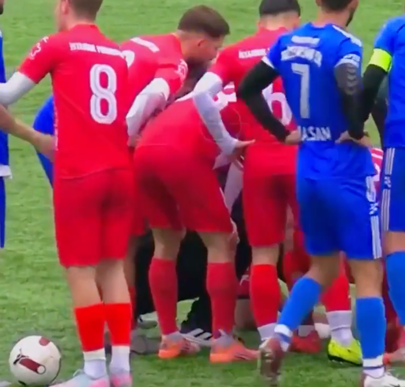 Spieler versammeln sich um das abgeschossene Tier.