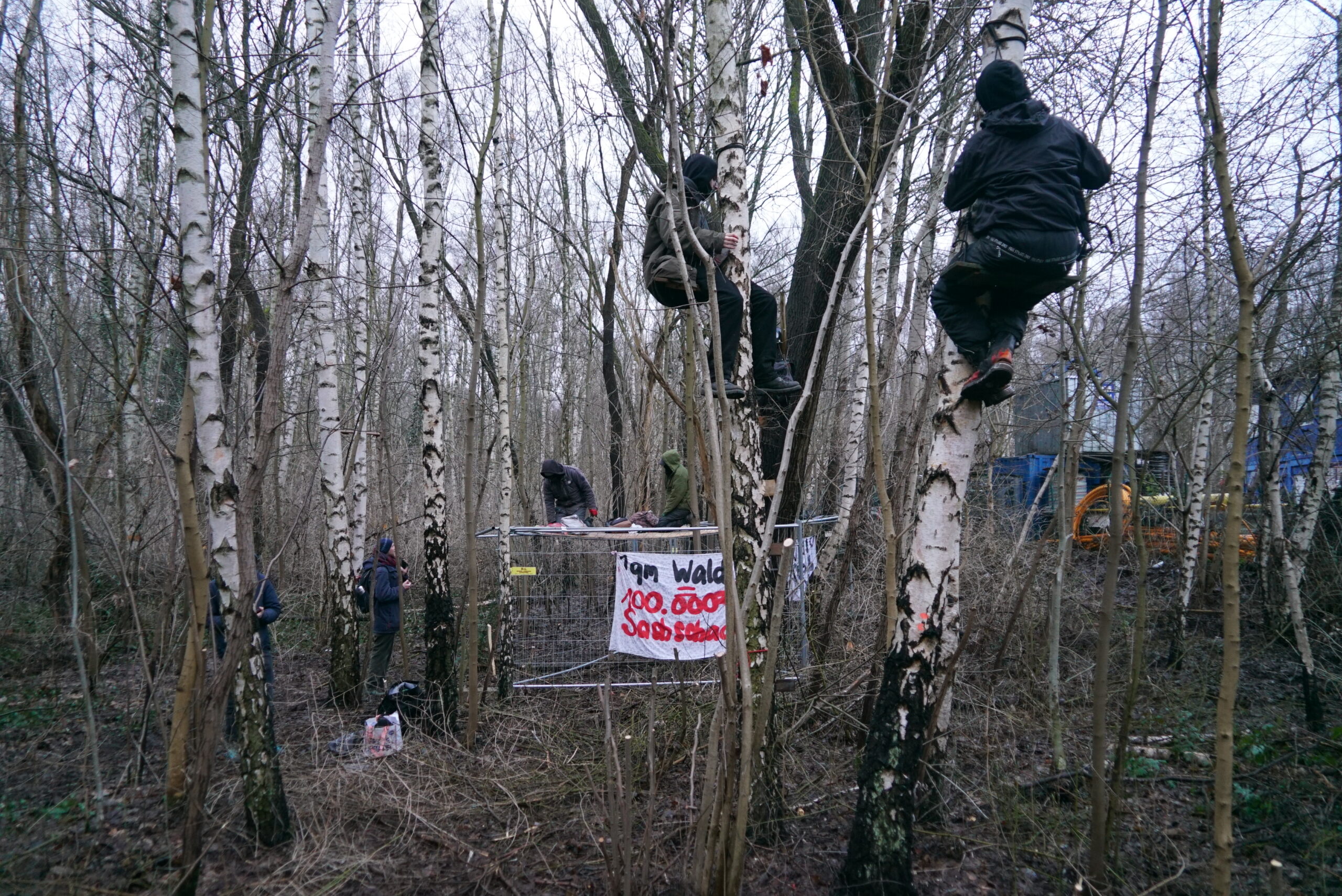 „Wilder Wald“ Wilhelmsburg Aktivisten Hamburg