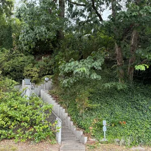 Das abgelegene Haus des Seniors in Hamburg-Eißendorf ist nur über diese steile Treppe zu erreichen.