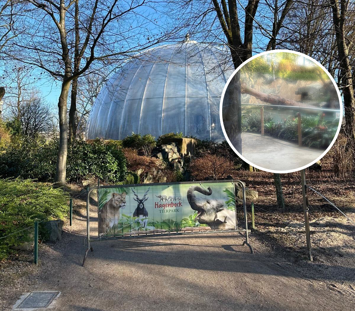 Nachdem ein Baum im Gehege umgestürzt war, wurde das Orang-Utan-Haus gesperrt.