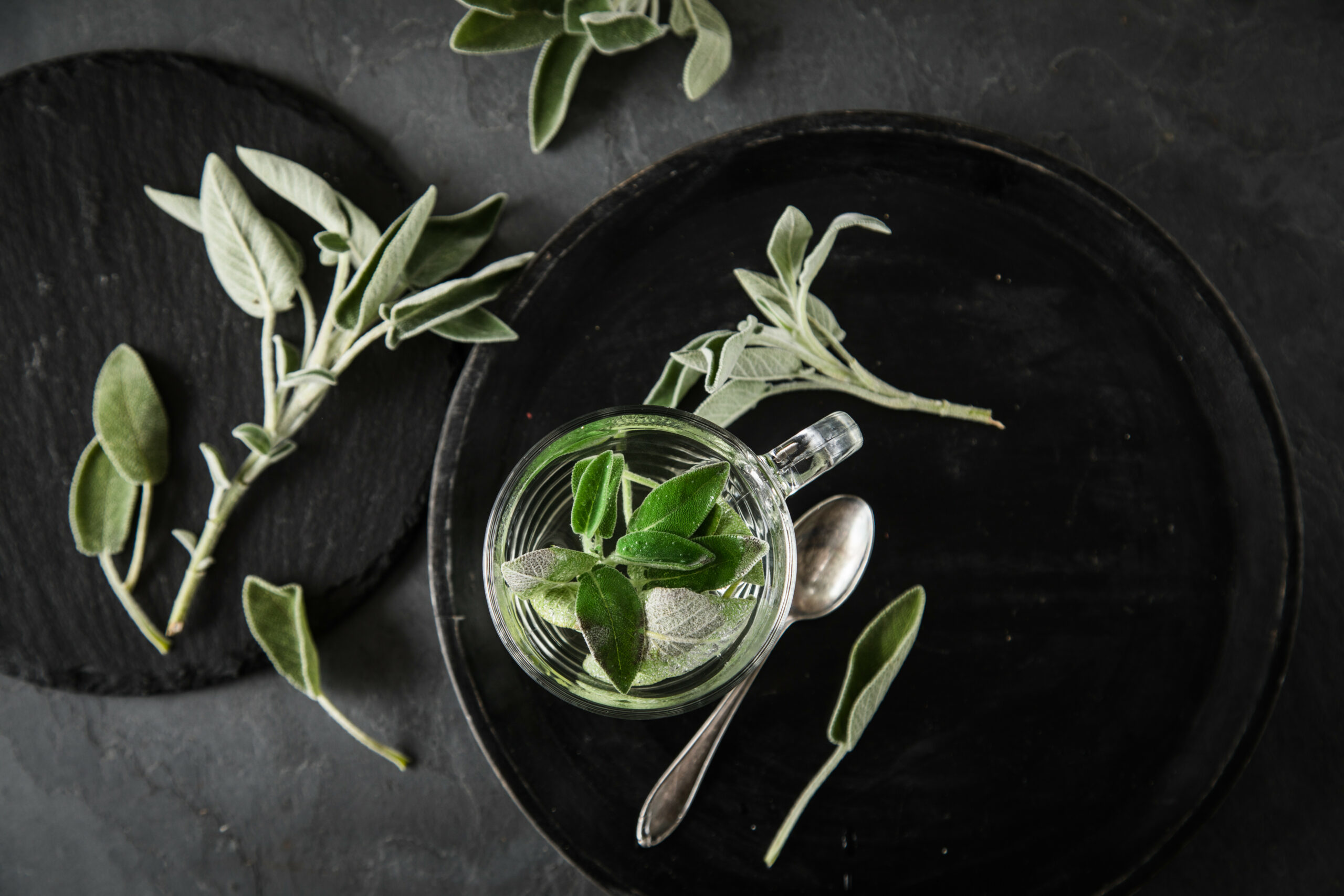 Hausmittel Salbeitee