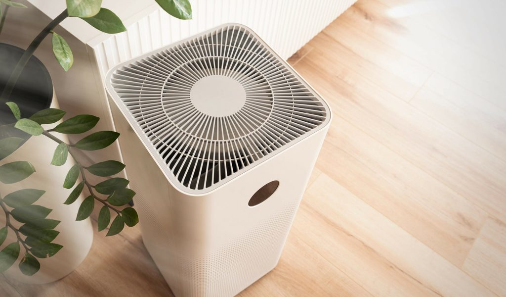 Luftreiniger-und-Pollenschutzgitter-Was-bringt-s-wirklich-bei-Heuschnupfen-