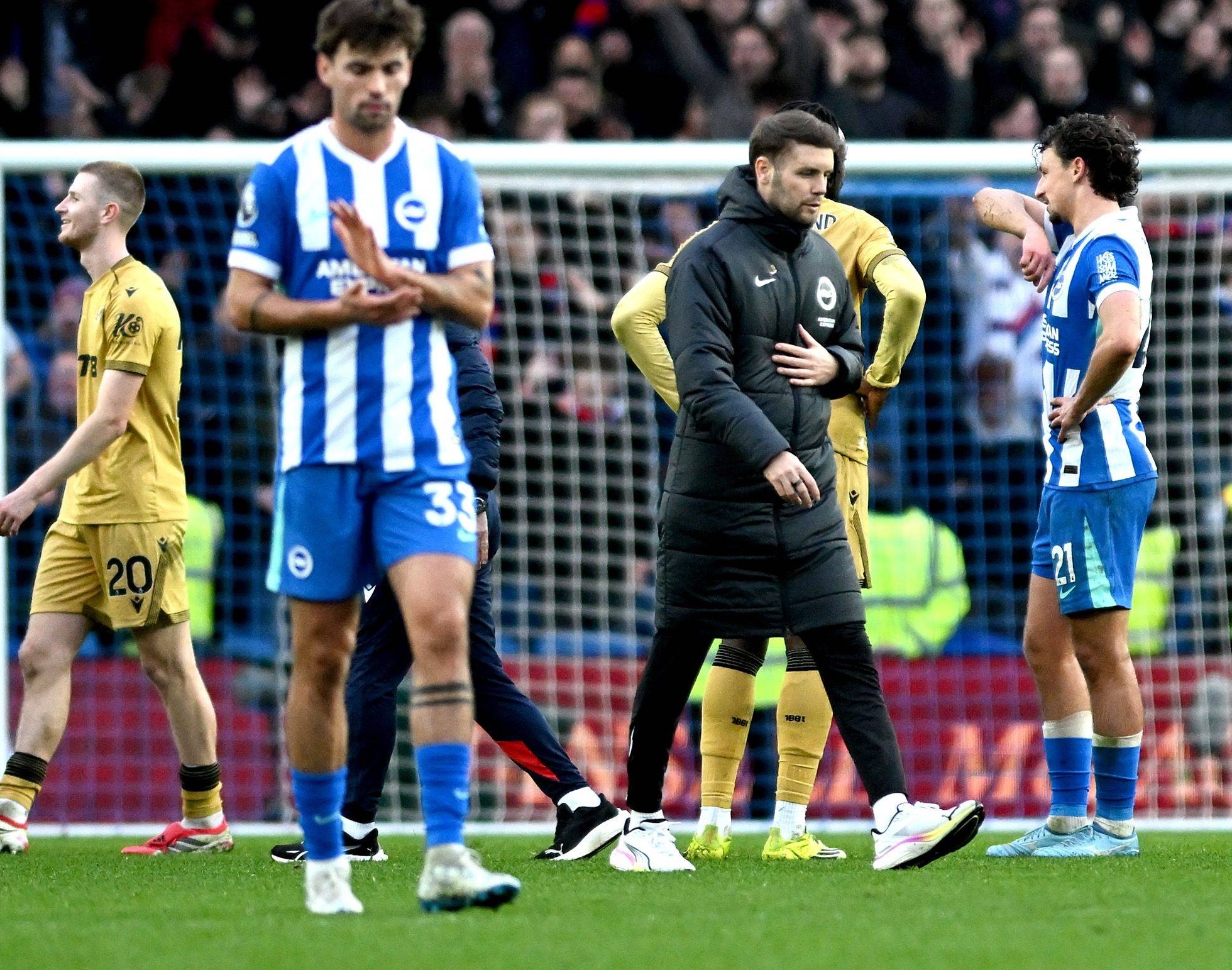 Fabian Hürzeler in Brighton