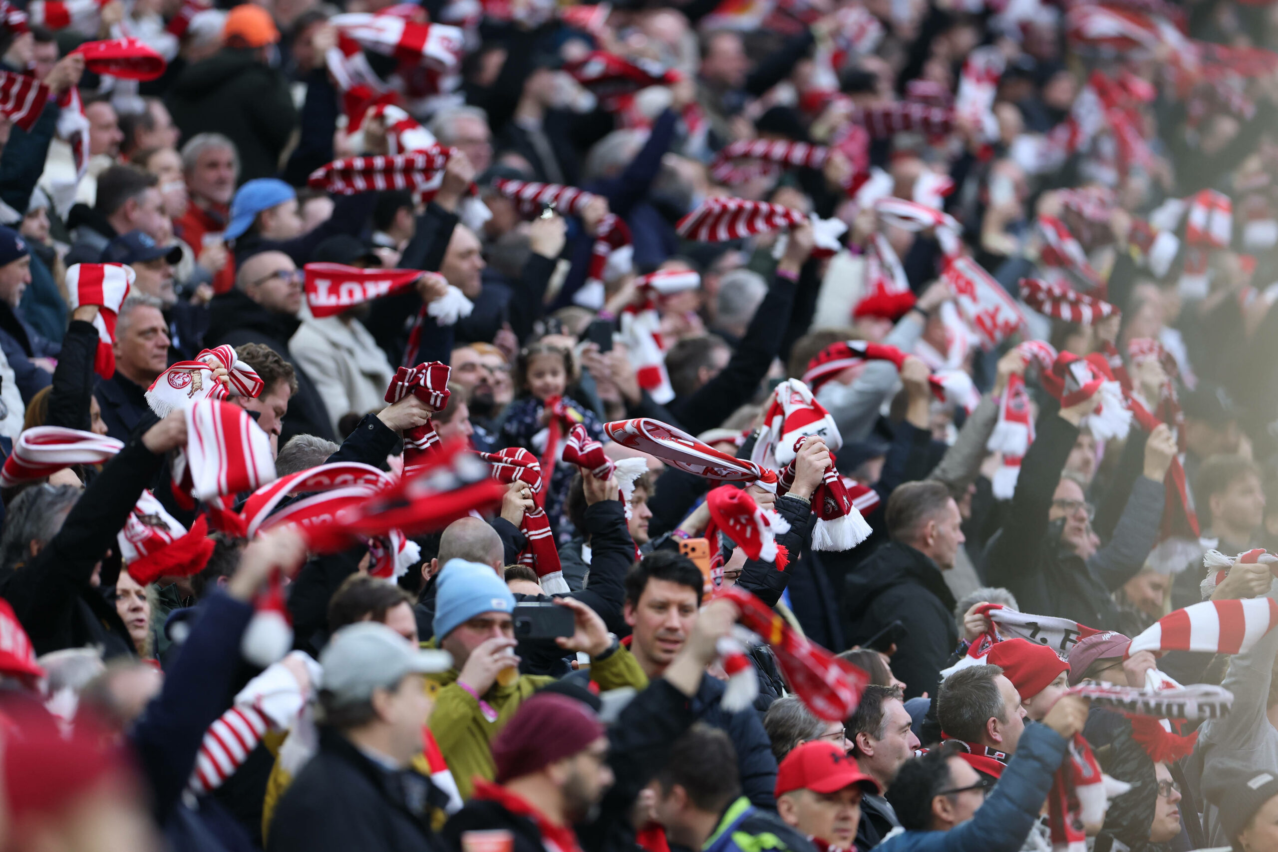 Fans des 1. FC Köln beim Bundesliga-Spiel gegen die TSG Hoffenheim