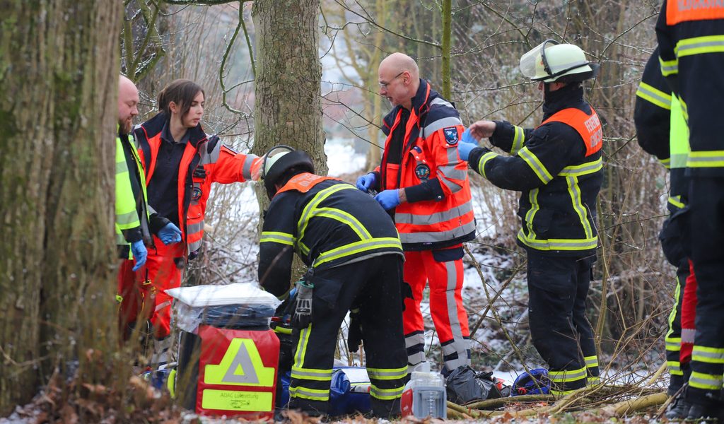 Arbeiter-im-Stadtpark-im-Norden-von-Baum-getroffen-tot