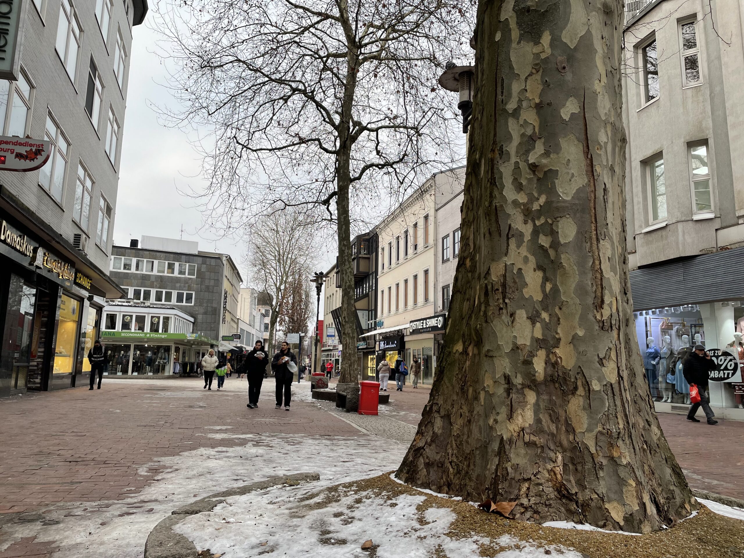 Fußgängerzone Harburg: Platanen sollen gefällt werden.