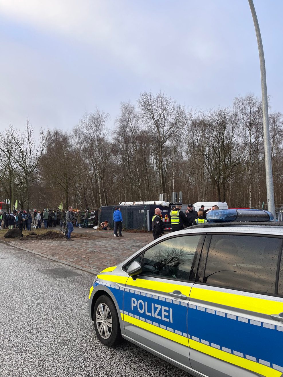 Wilder Wald Wilhelmsburg