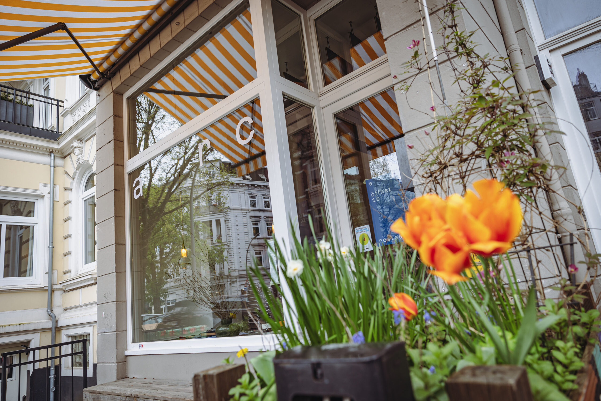 Das „Arc“ hat seit 2024 einen festen Standort in Eimsbüttel.